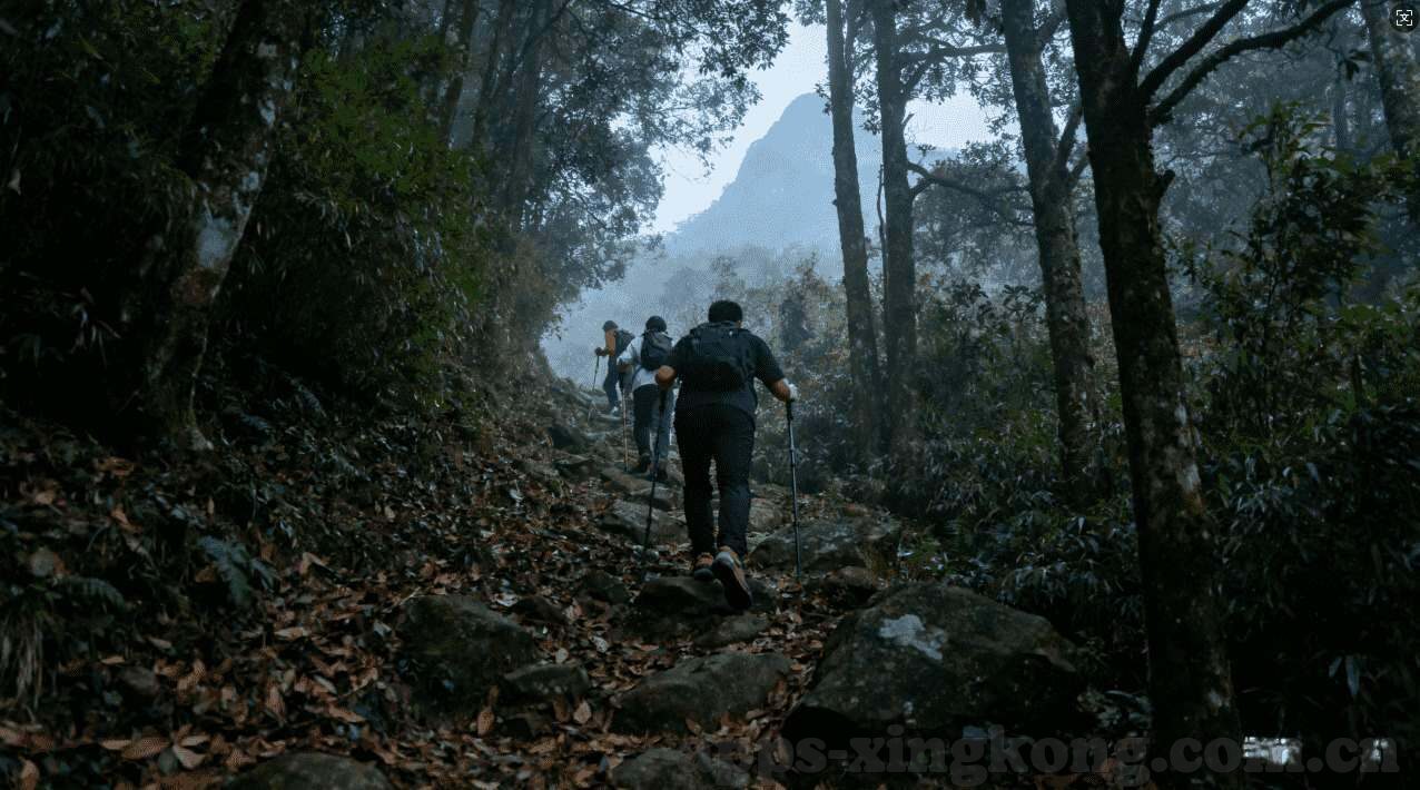 埃及进入世界杯了吗-埃及足球，梦想照进现实——世界杯之旅的启示